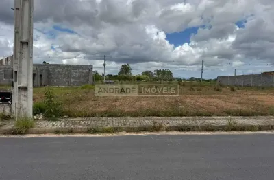 Terreno à venda na Zona Rural, Ilhota 