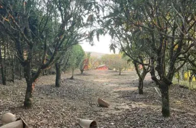 Sítio para venda e locação, no loteamento santa clara em jundiaí/sp