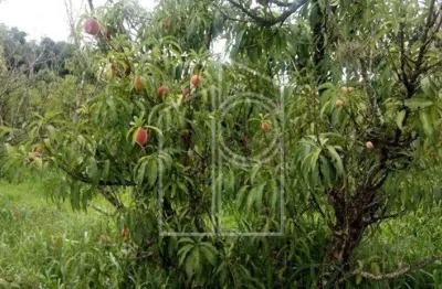 Sitio à venda localizado no bairro bom jardim, em jundiaí - sp