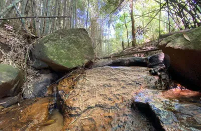 Terreno de 3.265 mt com riacho nos fundos no cafezal em itupeva-sp.