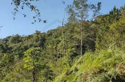 Terreno à venda no Primeiro de Maio, Brusque 