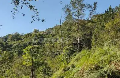 Terreno à venda no Primeiro de Maio, Brusque 