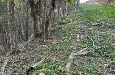 Terreno à venda no Azambuja, Brusque 