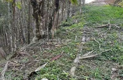 Terreno à venda no Azambuja, Brusque 