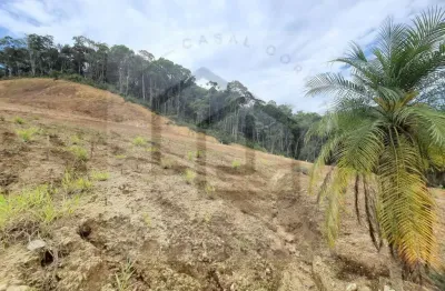 Terreno à venda no Bateas, Brusque 