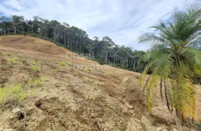 Terreno à venda no Bateas, Brusque 