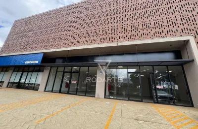 Salão Comercial na Avenida Caramuru – Excelente Visibilidade!
