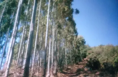 Fazendas para venda em monte verde no bairro não especificado