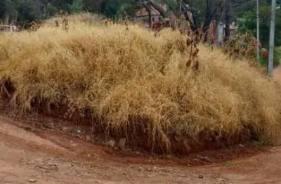 Terrenos para venda em atibaia no bairro jardim são felipe