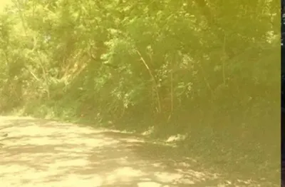 Terrenos para venda em atibaia no bairro jardim paulista
