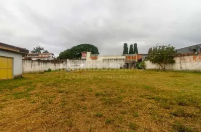 Terreno comercial para alugar na Rua Paranápolis, --, Interlagos, São Paulo