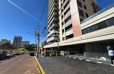 Apartamento - ribeirão preto - nova aliança - região sul