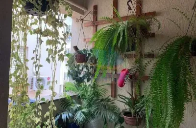 Apartamento - ribeirão preto - jardim zara - região leste