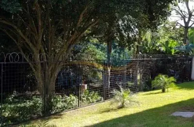 Apartamento - ribeirão preto - vila amelia - região oeste