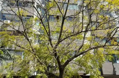 Apartamento com 2 quartos à venda na rua são lucas, 755, jardim do salso, porto alegre por r$ 741.000
