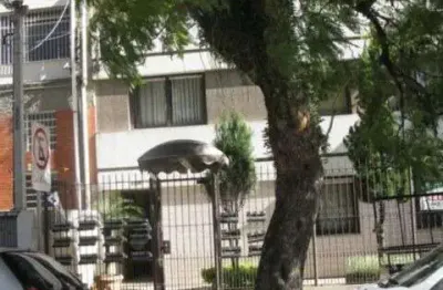 Apartamento com 2 quartos à venda na rua augusto severo, 134, são joão, porto alegre por r$ 240.000