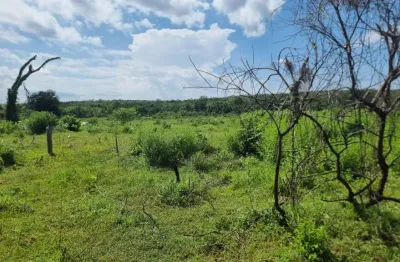Azenda a venda 300 hectares localizada entre riacho frio e corrente terreno de vazante