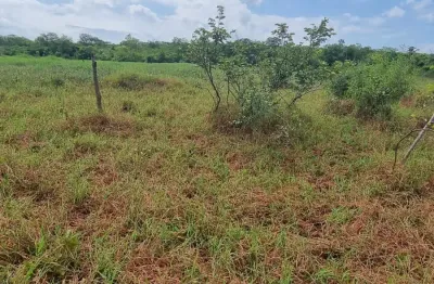 Faz a venda fica a 14 km da cidade de corrente  com 199 há cerca com arame farpado