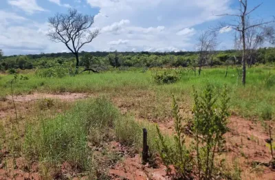 Faz.vereda do riacho grande-corrente  piauí  368 ha de área total