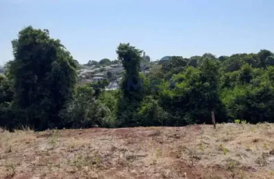 Terreno à venda na Rua Dos Juriti, Planalto, Pato Branco