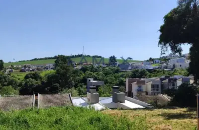 Terreno para venda-bairro fraron-pato branco-pr- - te950