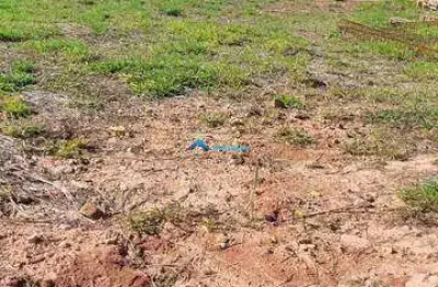Vende-se lote de 600 m2, de alto padrão, com fundo para mata, no condomínio reserva marajoara - jundiai