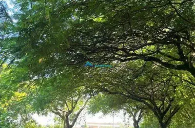 Terreno em condomínio fechado à venda na Rua Dos Buritis, sn, Parque dos Resedás, Itupeva
