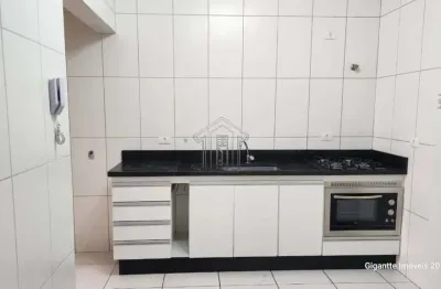 Apartamento para locação, 3 dorm(s), 1 suite(s), 1 vaga(s), 67 m².