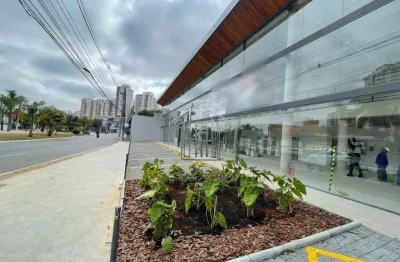 Salão Comercial Novo para Locação, 14 vaga(s), 748 m². Excelente localização,  venha conferir e alugar!