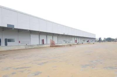 Barracão / Galpão / Depósito com 8 salas para alugar na Rodovia BR-470, 2, Machados, Navegantes