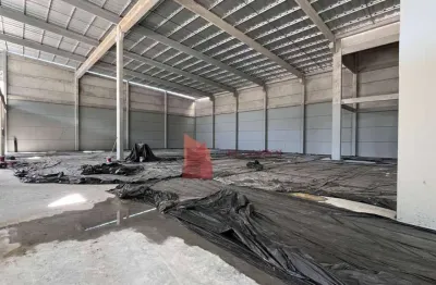 Barracão / Galpão / Depósito com 1 sala para alugar na Rua José Alves Cabral, 357, Nova Esperança, Balneário Camboriú