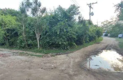 Terreno à venda na Praia do Itamambuca, Ubatuba 