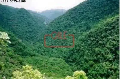 Área reflorestamento fazenda à venda de para compensação de  reserva legal, no interior de são paulo