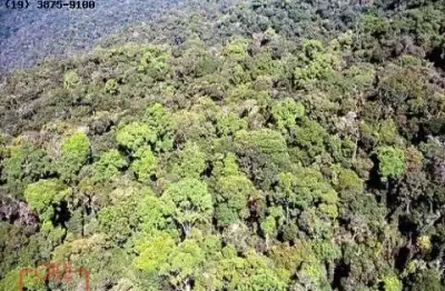 Área reflorestamento fazenda à venda de para compensação de  reserva legal, no interior de são paulo