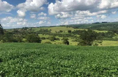 Chácara / sítio à venda na Estr. Jangada, 2660, Zona Rural, Sabáudia