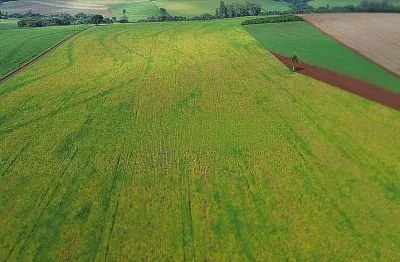 Fazenda à venda na Rua dos Agricultores, Recanto dos Pinheiros, Cambé