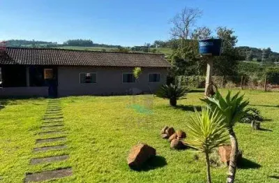 Fazenda à venda na Rua Visconde de Guarapuava, S/N, Paulista, Londrina