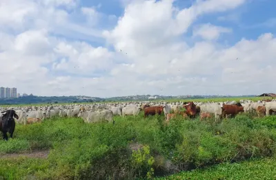 Fazenda à venda na Avenida Shishima Hifumi, Urbanova, São José dos Campos
