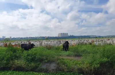 Fazenda à venda na Vila Industrial, São José dos Campos 