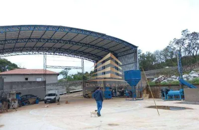 Galpão, 800 m² - venda por r$ 3.200.000,00 ou aluguel por r$ 15.000,00/mês - vila nova bonsucesso - guarulhos/sp
