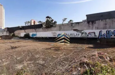 Terreno para alugar, 1500 m² por r$ 86.000,00/mês - macedo - guarulhos/sp