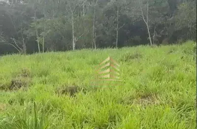 Área à venda, 20000 m² por r$ 395.000,00 - taiacupeba - mogi das cruzes/sp