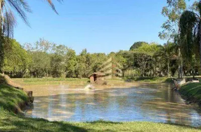 Chácara com 3 dormitórios 2 suites  à venda, 36000 m² por r$ 1.799.000 - chácara ipês - caçapava/sp
