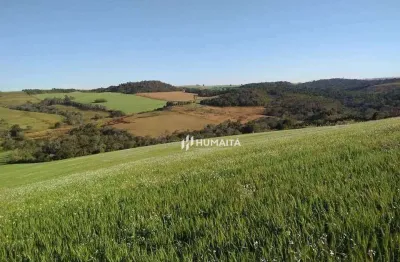 Chácara / sítio com 3 quartos à venda na Área Rural de Cambé, Cambé 