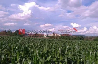 Chácara à venda, 20166 m² por r$ 2.500.000,00 - gleba ribeirão cafezal - londrina/pr