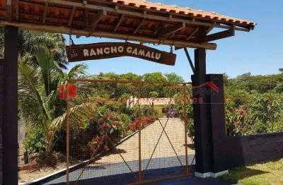 Chácara à venda, 4350 m² por r$ 600.000,00 - centro - centenário do sul/pr