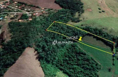 Chácara com 1 dormitório à venda, 26000 m² por r$ 325.000,00 - selva - londrina/pr