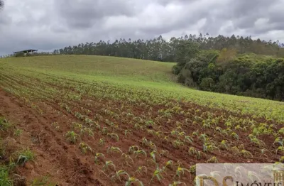 Fazenda à venda na capão bonito, centro, capão bonito por r$ 17.150.000
