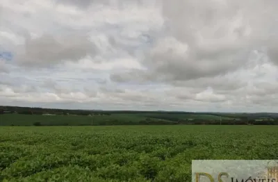 Fazenda à venda na rua expedicionários itapetininganos, centro, itapetininga por r$ 42.000.000