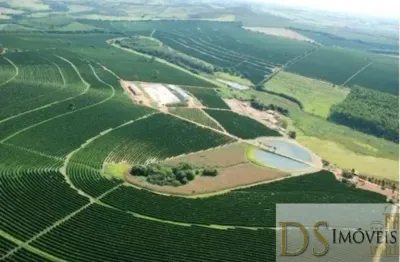 Fazenda à venda na rua padre abel, 1, centro, piumhi por r$ 75.000.000